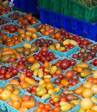 플라스틱 식품 트레이